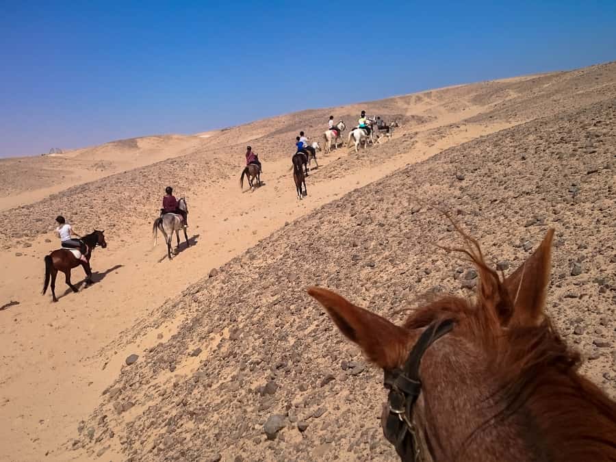 Hurghada: Sunset Sea, Desert Horse W Opt, Dinner, Stargazing - Dinner, Dance Show, and Stargazing: Picking the Ending That Matches Your Mood