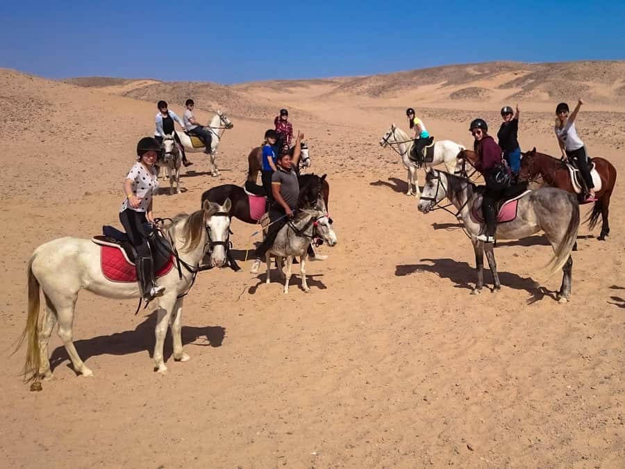 Hurghada: Sunset Sea, Desert Horse W Opt, Dinner, Stargazing - Price and Value Check: What $29 Buys You in Real Time