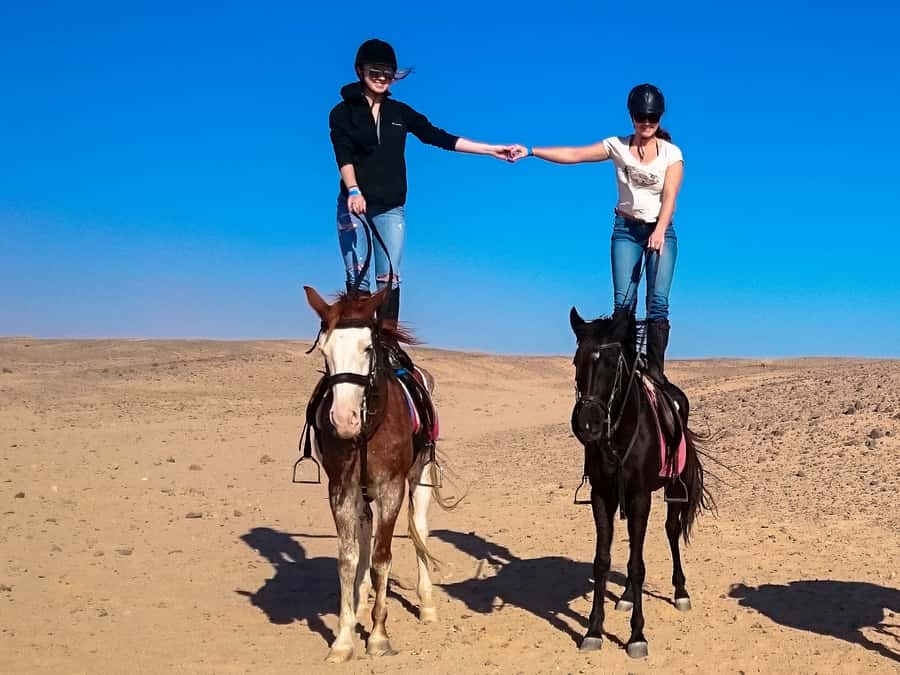 Hurghada: Sunset Sea, Desert Horse W Opt, Dinner, Stargazing - Safety, Rules, and Who Should Skip This One