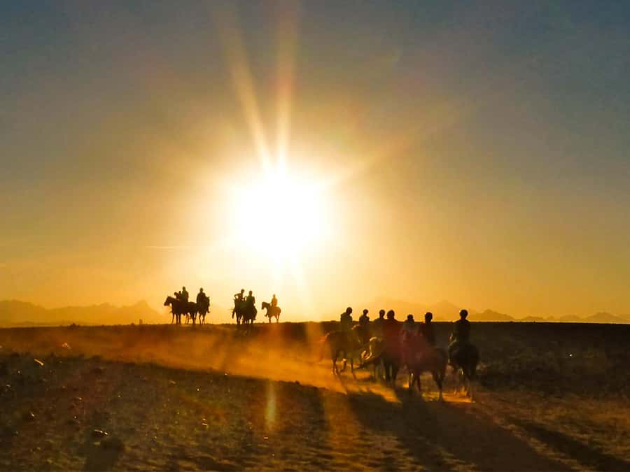 Hurghada: Sunset Sea, Desert Horse W Opt, Dinner, Stargazing - Pick Your Version: Sunset vs Sunrise, VIP Swim Stop, Dinner, or Stargazing