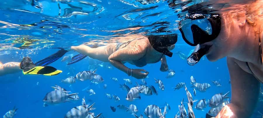 Hurghada: White Island Speedboat Tour, Snorkeling, & Lunch - The optional fly add-on: a short experience with big view payoff