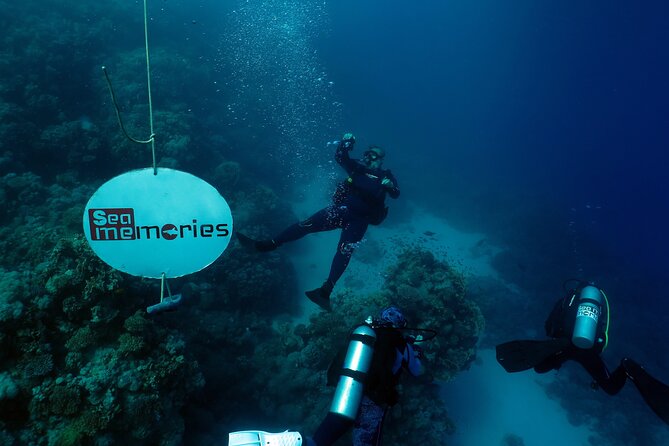 Intro Diving 2 Stops For Beginners with Pick-up and Lunch - Hurghada - A Beginner Scuba Day in Hurghada, Built for Low-Stress Underwater Time