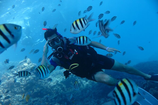 Intro Diving 2 Stops For Beginners with Pick-up and Lunch - Hurghada - Instructors, Safety, and the Close-By Feeling That Keeps You Calm