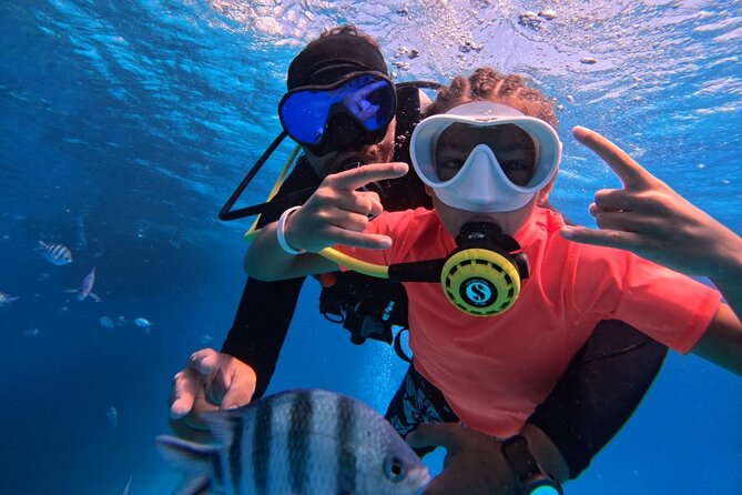 Intro Diving Beginner and Discover Red Sea Underwater - Key Points to Know Before You Go
