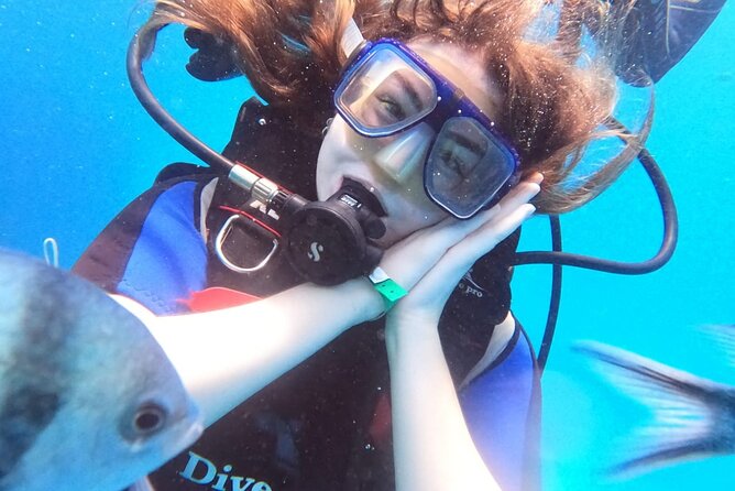 Intro Diving Beginner and Discover Red Sea Underwater - First Underwater Session: Abu Ramada or Small Giftun