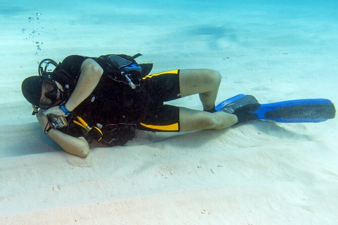 Intro Diving for Beginners 2 Stops Diving with Lunch - Hurghada - A Beginner-Ready Red Sea Day in Hurghada