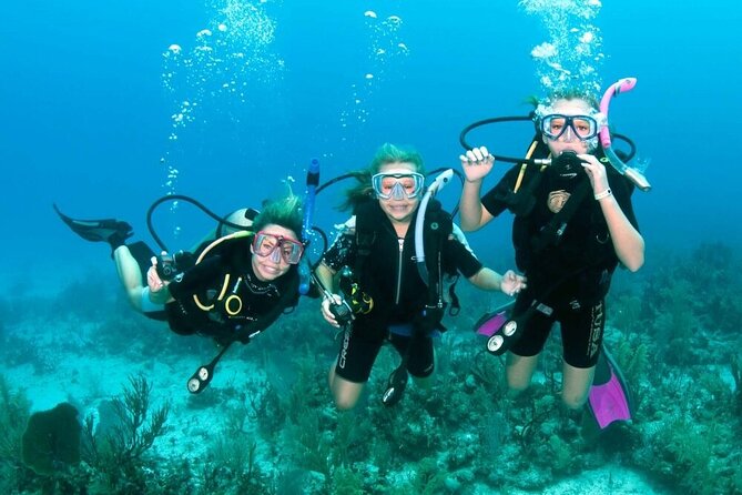 Intro Diving for Beginners 2 Stops Diving with Lunch - Hurghada - Getting Moving: Pickup, Pier, and the Boat Ride