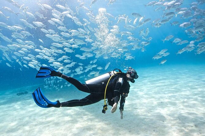 Intro Diving for Beginners 2 Stops Diving with Lunch - Hurghada - Snorkeling Time and Why It’s Included