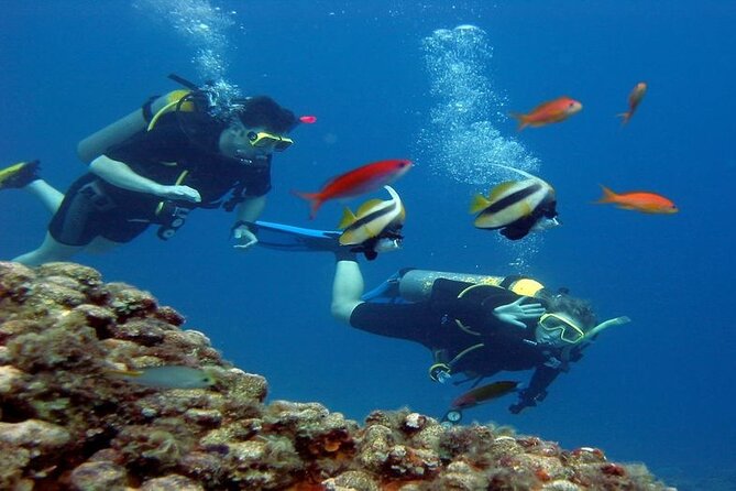 Intro Diving for Beginners 2 Stops Diving with Lunch - Hurghada - Price and What Makes It Feel Like a Deal