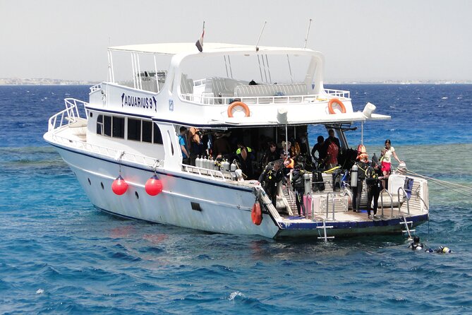 Intro Diving for Beginners 2 Stops Diving with Lunch - Hurghada - Underwater Session 2: Fish, Coral, and Possible Dolphin Sightings