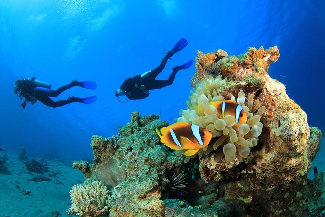 Intro Scuba Diving 2 Stops Trip with Transfers & Lunch - Hurghada - Hurghada Port Pickup to a Full Day on the Water