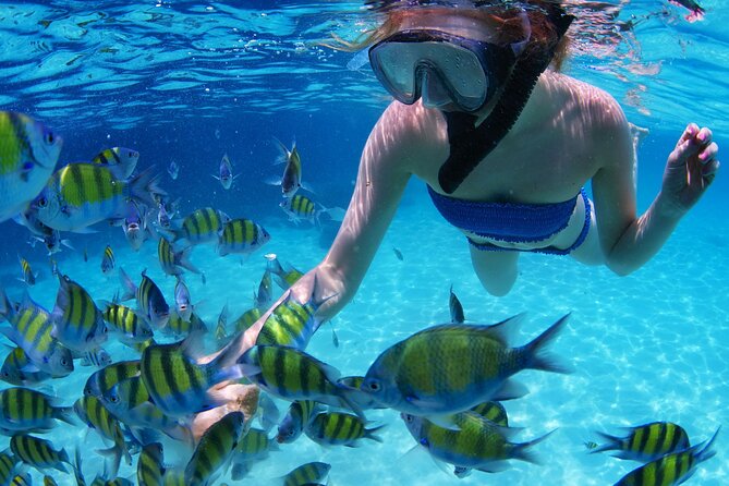 Intro Scuba Diving 2 Stops Trip with Transfers & Lunch - Hurghada - Meet the Team, Get Your Gear, and Run Through Skills First
