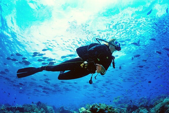 Intro Scuba Diving 2 Stops Trip with Transfers & Lunch - Hurghada - Second Underwater Stop: Different Area, Different Vibe