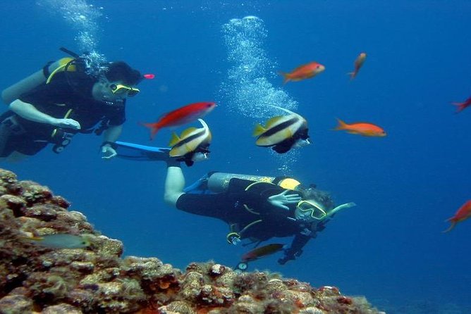 Intro Scuba Diving Beginners Full Day Boat Trip 2 Stops Diving & Lunch- Hurghada - Boat ride, onboard lunch, and comfort for a full morning to afternoon