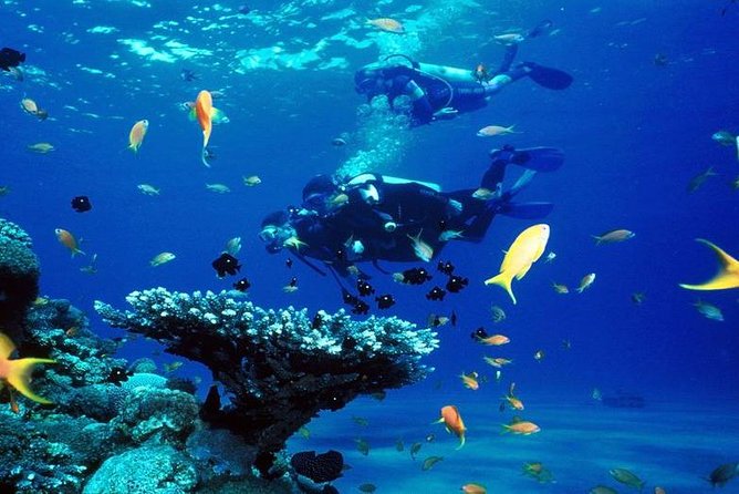 Intro Scuba Diving Beginners Full Day Boat Trip 2 Stops Diving & Lunch- Hurghada - Price and value at about $20, plus the extra cash you may need