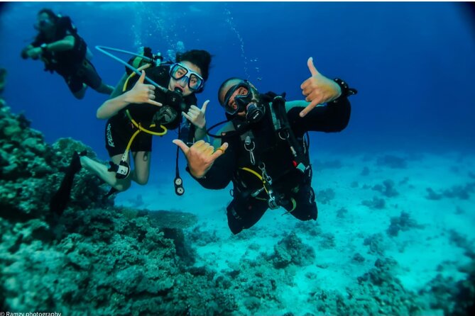 Introduction: Diving from the Reef in Sharm El Sheikh - Timing, pickup, and getting ready for an 8:00 am start