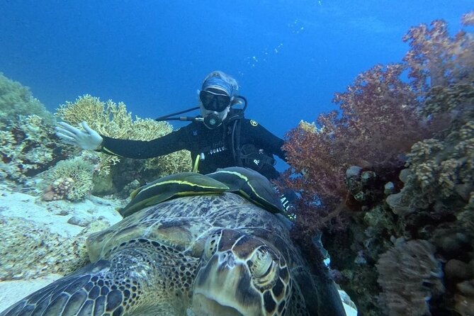 Introduction: Diving from the Reef in Sharm El Sheikh - FAQ