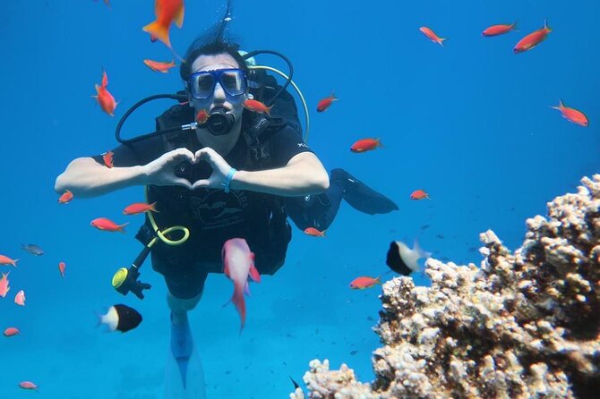 Introduction: Diving from the Reef in Sharm El Sheikh - Gear, instruction, and how you get comfortable fast
