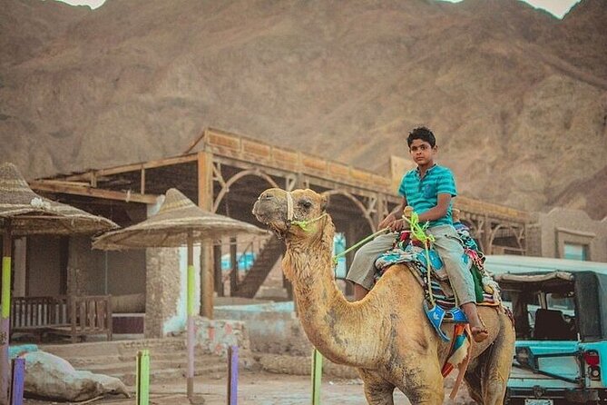Jeep Safari Salama Colored Canyon from Sharm El-Sheikh - The 15-minute camel ride with a Saudi Arabia view