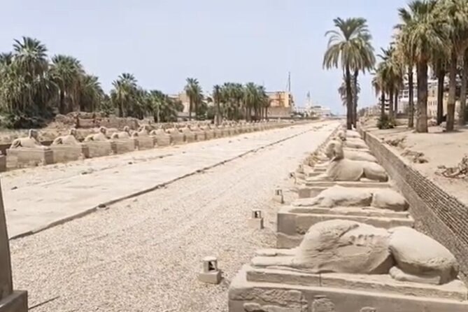 Luxor East Bank: Karnak and Luxor Temples (Private Tour) - Price and value: what you pay, what you skip, and how to budget