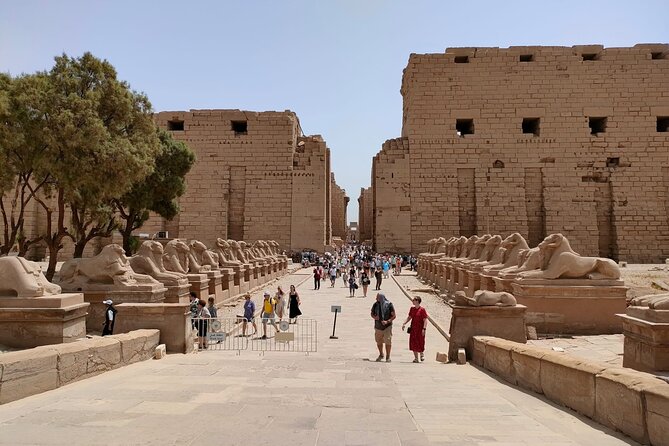 Luxor East Bank: Karnak and Luxor Temples (Private Tour) - Who should book this Karnak and Luxor Temple private tour