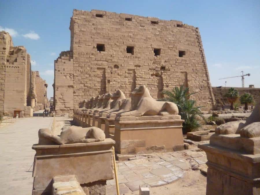 Luxor: Private East and West Banks Tour and Felucca Cruise - Should You Book This Luxor Private East and West Banks Tour?