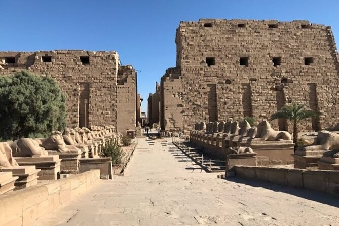 Luxor private excursion from Hurghada Makadi Bay Soma Bay Sahl Hasheesh Elgouna - Colossi of Memnon: quick stop, strong visual impact