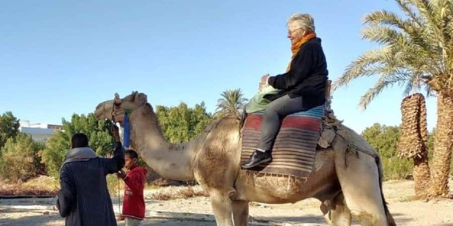 Luxor: Scenic Camel or Horse Ride - Key Things You Should Know