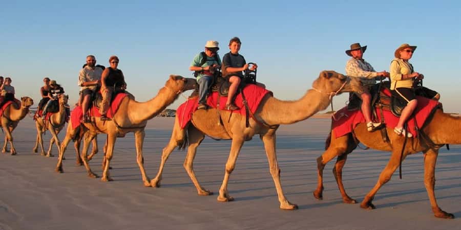 Luxor: Scenic Camel or Horse Ride - Why This Luxor Camel or Horse Ride Works as a Break from the Monuments