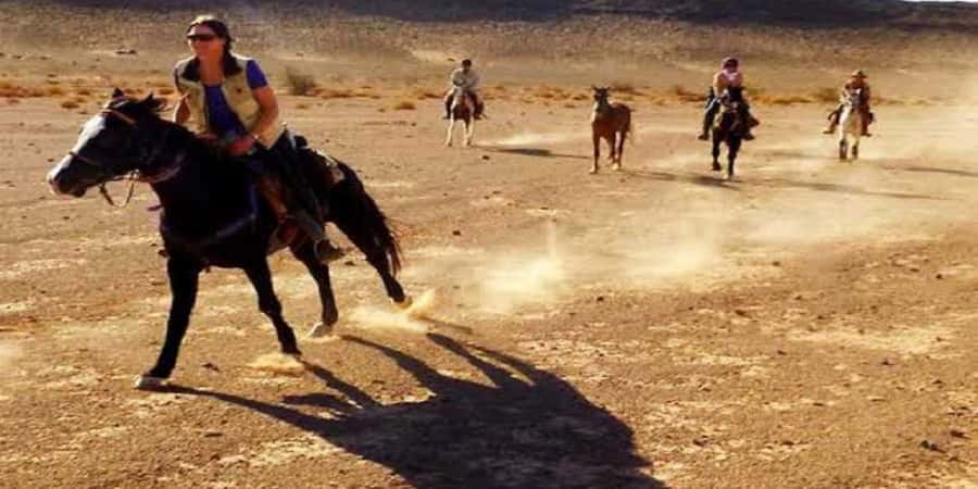 Luxor: Scenic Camel or Horse Ride - The Scenery You’ll Actually See: Mango, Banana, and the Green-Desert Mix