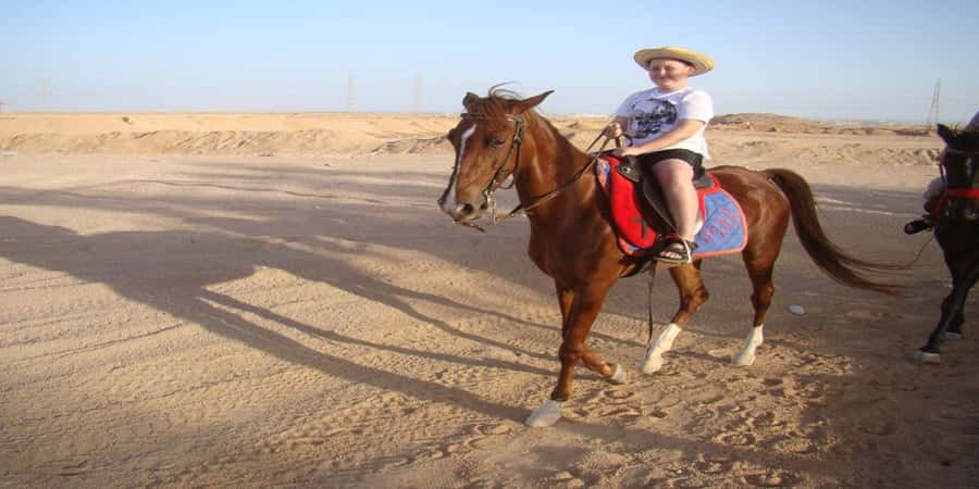 Luxor: Scenic Camel or Horse Ride - Animal Care and Trainer Help: The Part Most People Get Right