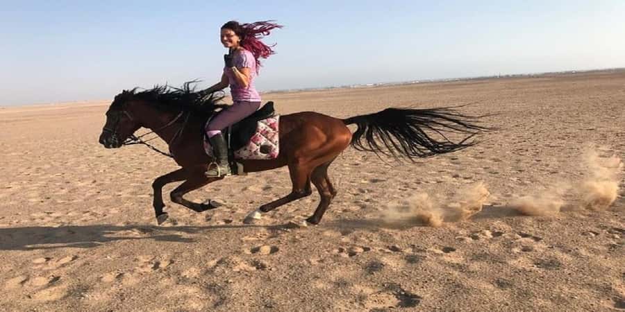 Luxor: Scenic Camel or Horse Ride - Price and Value: Is $15 Worth It for One Hour on an Animal?