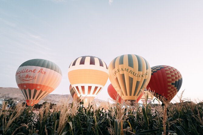 Luxury Balloon Ride in Luxor with Hotels Pickup - Luxury balloon ride? What that label means in real life