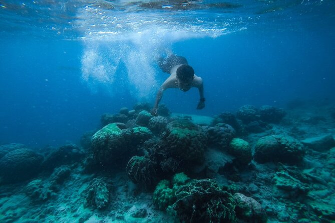 Luxury Cruise inc. Snorkeling/Massage/Island/water sport & Lunch - Orange Bay stop: swim, photos, and why timing matters
