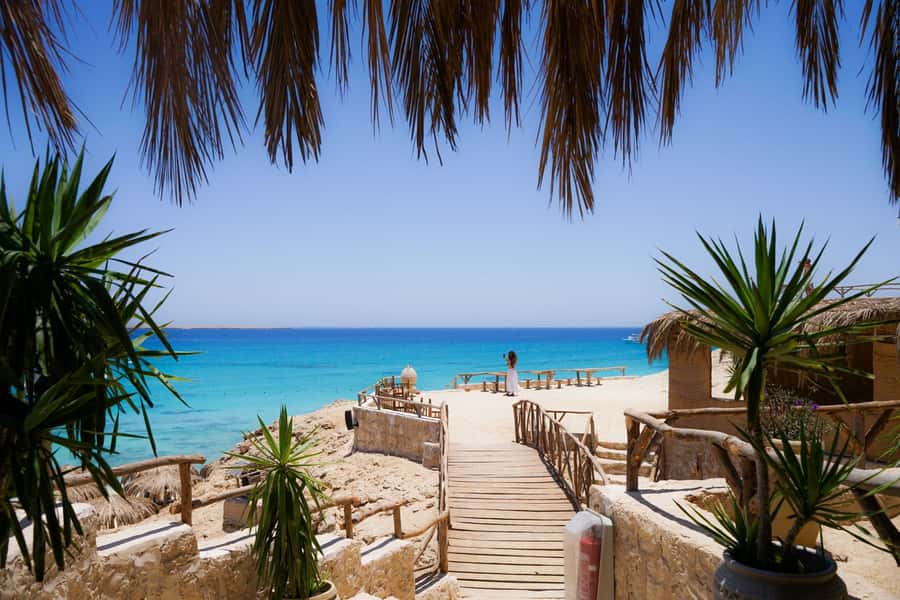 Mahmya Island: Red Sea Sailing Experience - The Boat Ride with Dolphin Possibility