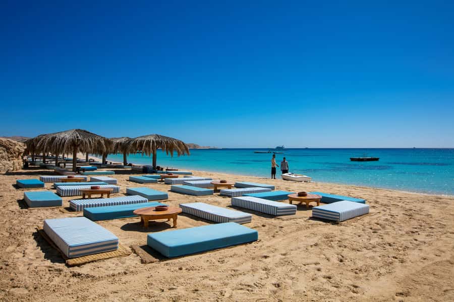 Mahmya Island: Red Sea Sailing Experience - Snorkeling the Reef: Your Best Two-Wave Plan