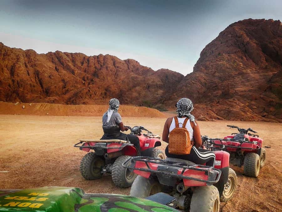 Makadi Bay: 2H Quad Bike, Camel, Stargazing, Dinner & Show - Oriental Dinner and Live Show in the Desert Night