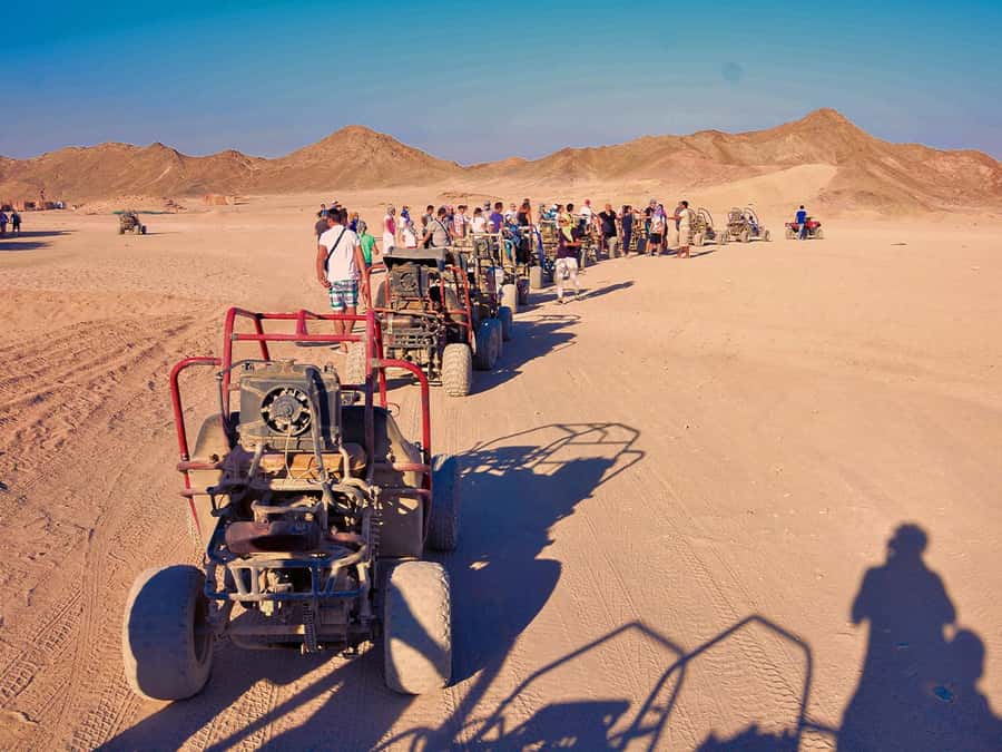 Makadi Bay: ATV, Sea View, Camel, Stargazing, Dinner & Show - Picking the right option: sunrise breakfast, morning combo, or sunset dinner and stars