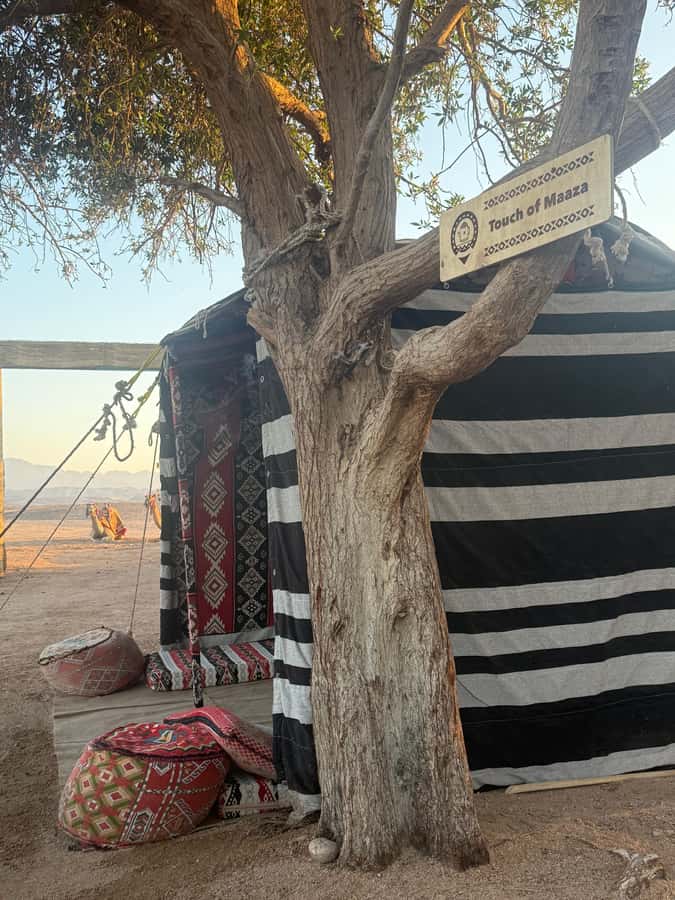 Makadi Bay: BADU Luxury Bedouin Dinner Experience & Stargaze - Entering BADU Camp: why this Makadi Bay desert outing feels like a real evening