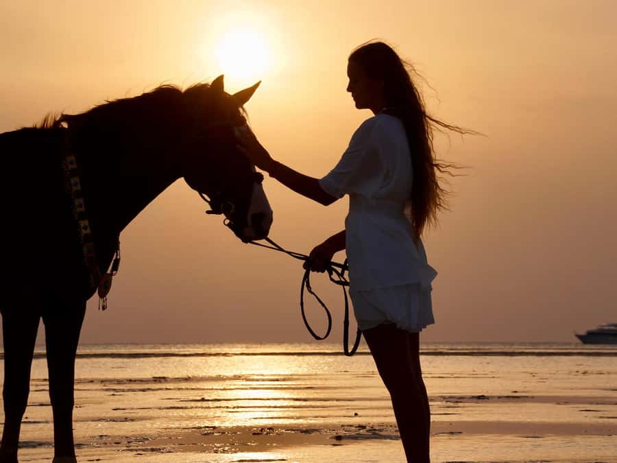 Makadi Bay: Horse Riding in Desert & Sea w Guide + Transfers - Key Things to Know Before You Ride