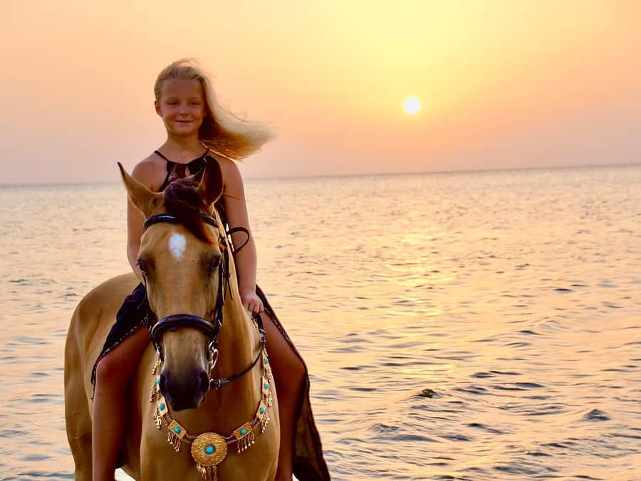Makadi Bay: Horse Riding in Desert & Sea w Guide + Transfers - Makadi Bay Horsebacking, Desert Meets Red Sea