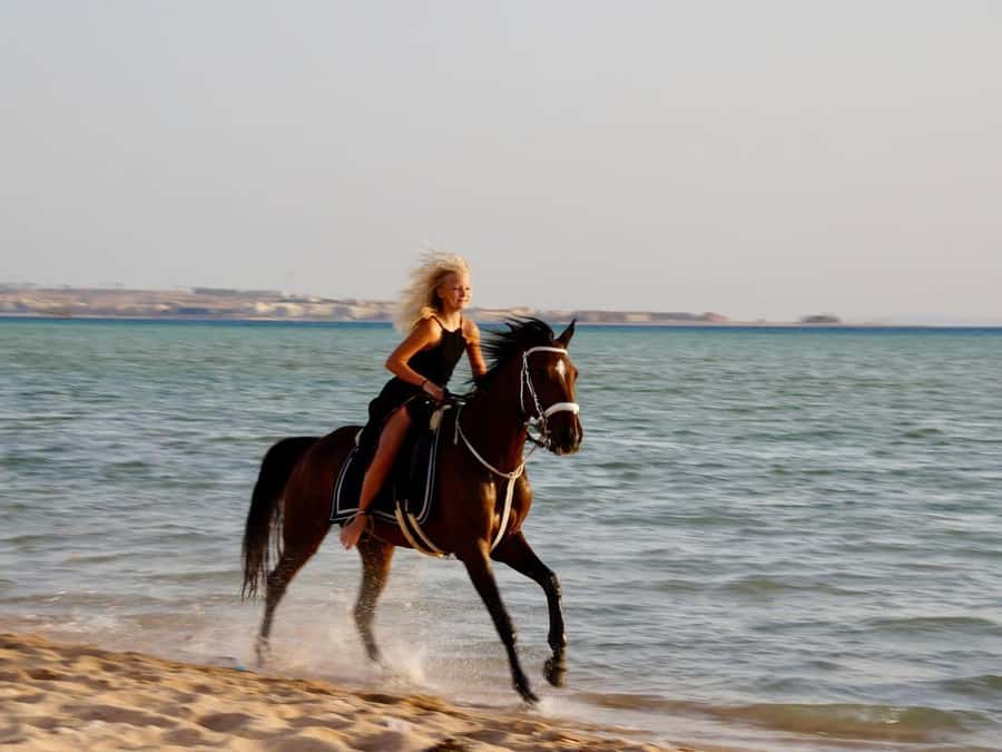 Makadi Bay: Horse Riding in Desert & Sea w Guide + Transfers - Meet Your Horse and Guide, From Didi to Anita