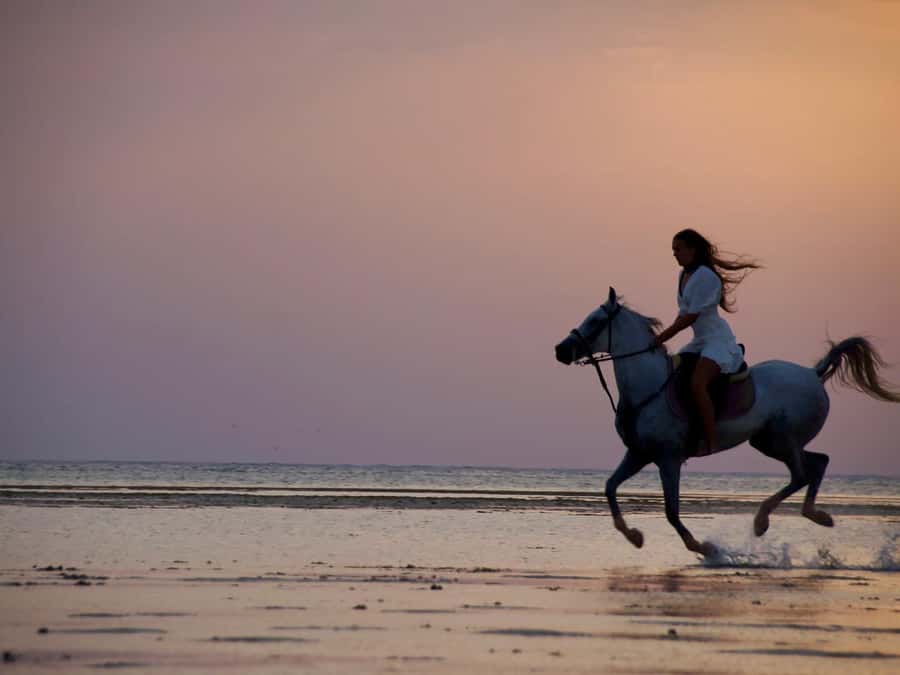 Makadi Bay: Horse Riding in Desert & Sea w Guide + Transfers - The 2-Hour Ride: Golden Sands, Sea Breeze, and Possible Gallops