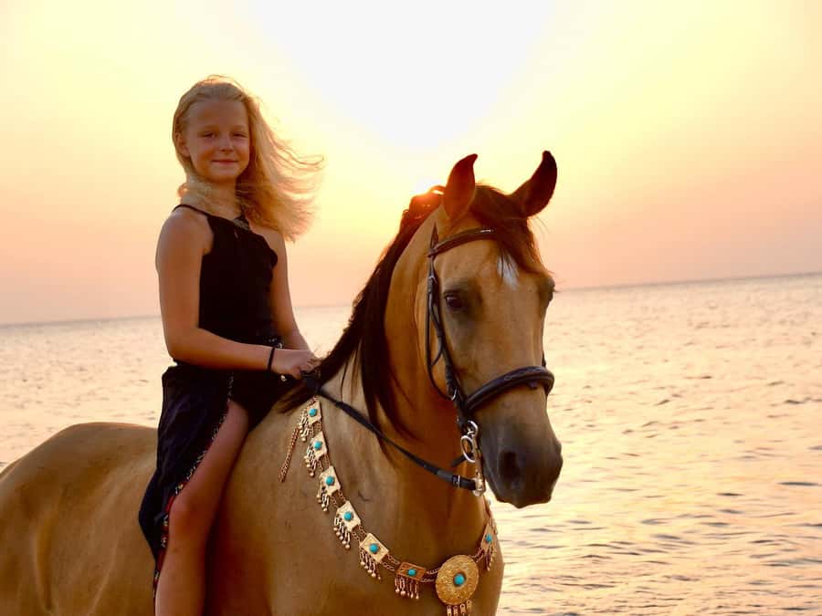Makadi Bay: Horse Riding in Desert & Sea w Guide + Transfers - The Views That Make Time Feel Worth It