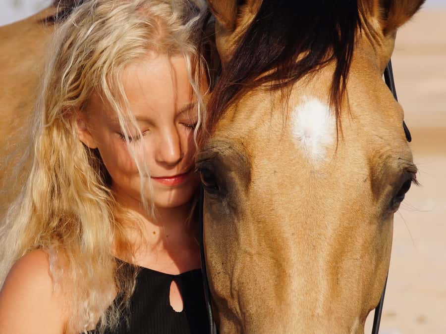 Makadi Bay: Horse Riding in Desert & Sea w Guide + Transfers - Included Extras That Actually Help