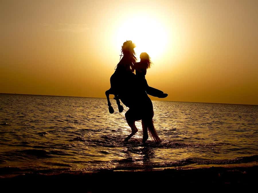 Makadi Bay: Horse Riding in Desert & Sea w Guide + Transfers - Price and Value, What $35 Gets You