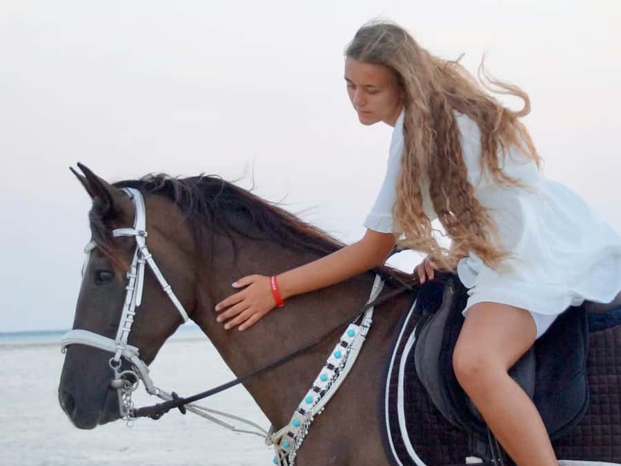 Makadi Bay: Horse Riding in Desert & Sea w Guide + Transfers - Who This Fits Best, Beginners to Confident Riders