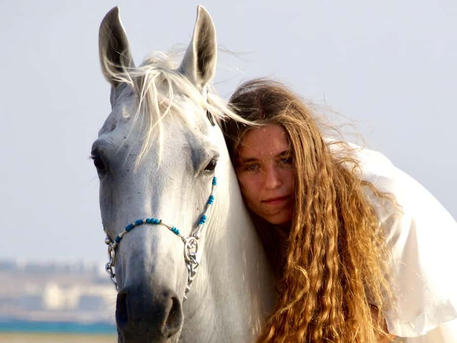 Makadi Bay: Horse Riding in Desert & Sea w Guide + Transfers - Getting From Hurghada, Transfers Included