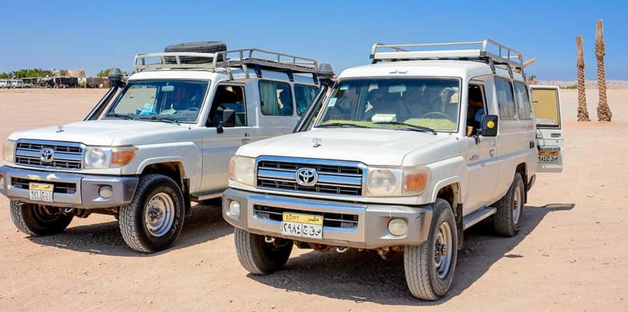 Makadi Bay: Mega Tour Jeep, ATV, Buggy, Camel, Dinner & Show - Camel ride in a local Bedouin village: what it is really like