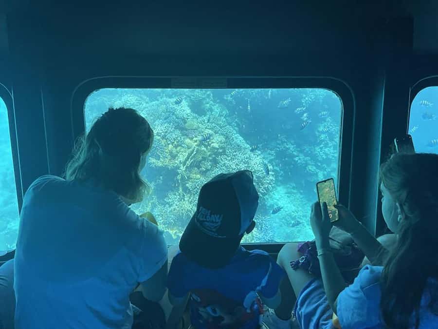 Makadi Bay: Royal Seascope Submarine Cruise & Snorkel stop - Key things I’d focus on before you go